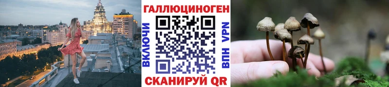 Купить где  Туран  Галлюциногенные грибы GOLDEN TEACHER